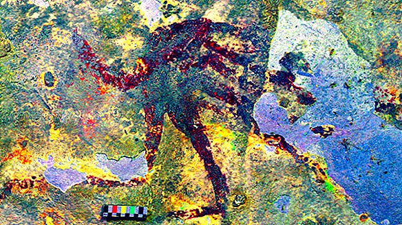 Najstarsza sztuka jaskini ludzkości przedstawia zmieniających kształt nadprzyrodzonych myśliwych