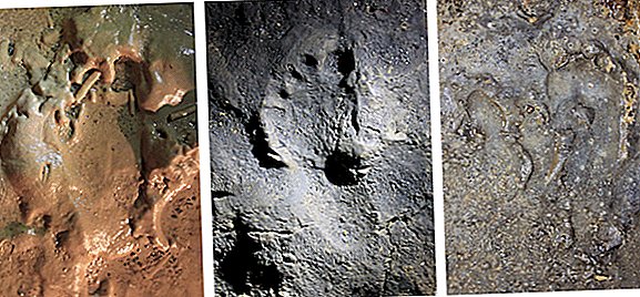 Les humains ont rampé dans une grotte il y a 14 000 ans. Nous pouvons encore voir leurs empreintes parfaitement préservées.