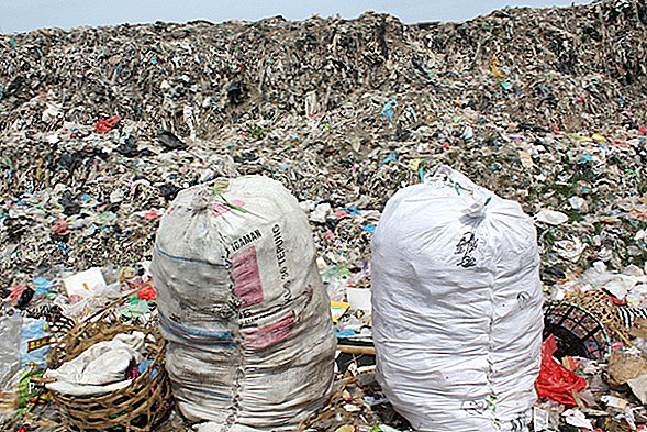 Mennesker har produceret en whopping 9 milliarder tons plast