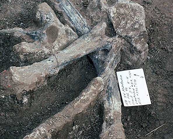 Les humains peuvent avoir occupé l'Amérique du Nord 100 000 ans plus tôt que prévu