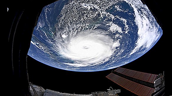 Orkanen Dorian Barrels Up the Coast, hotar Carolinas