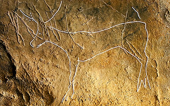 Arte da caverna da Era do Gelo encontrada sob camadas de grafite com séculos de idade