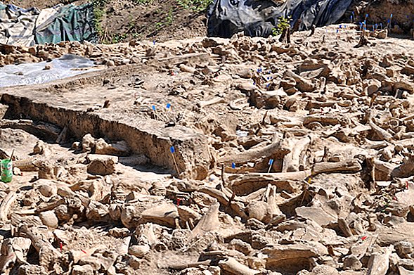 IJstijd 'huis' gemaakt van botten van meer dan 60 mammoeten mystificeert archeologen