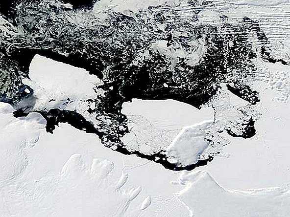 Fonte de glace en dessous, pas d'icebergs en train de vêler, rétrécissement de l'Antarctique (Op-Ed)