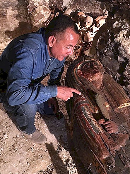 In foto: antica tomba piena di mummie scoperta a Luxor