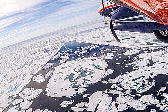 На фотографиях: конвейер для арктического морского льда