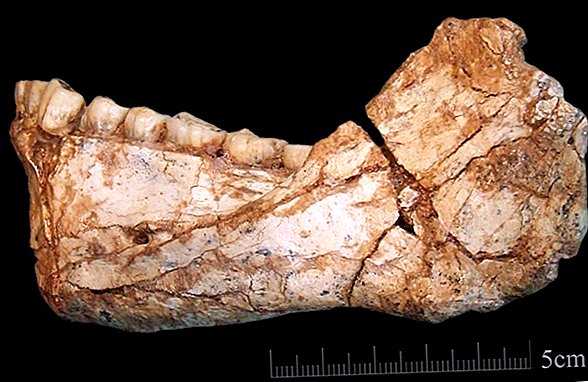 I foton: Oldest Homo Sapiens Fossils Ever Found