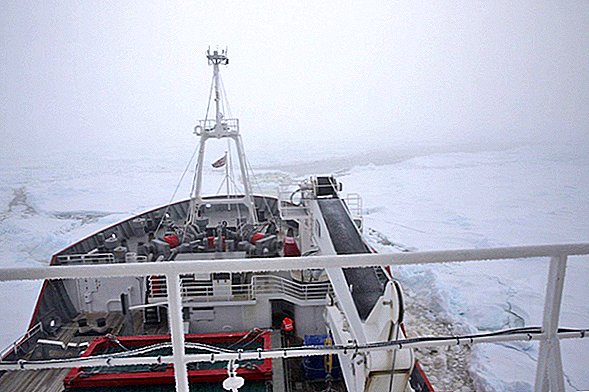 În fotografii: Nava de cercetare se îndreaptă către ecosistemul antarctic „ascuns”