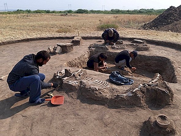 Fotos: Jovem casal enterrado há 4.000 anos no Cazaquistão