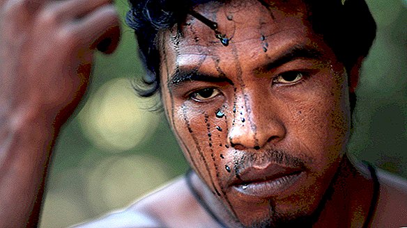 Vietos „miško globėjas“ buvo nugriautas nusikalstamų medienos ruošų agentų Brazilijos Amazonėje