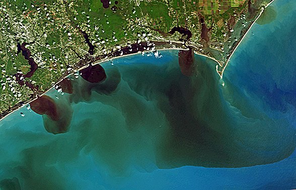 真っ黒な汚染された河川がNASA画像のハリケーンフローレンスの後に海に浸透