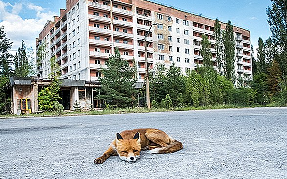 Kas Tšernobõli külastamine on ohutu?