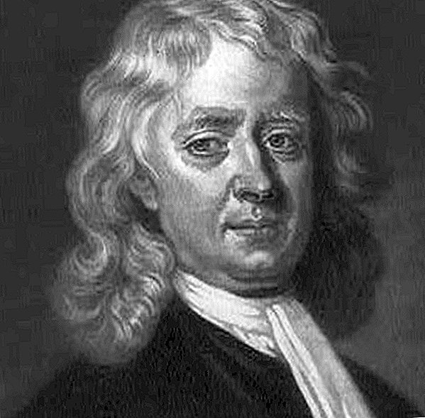 Buku Isaac Newton Dilancarkan untuk Penetapan Rekod $ 3.7 Juta