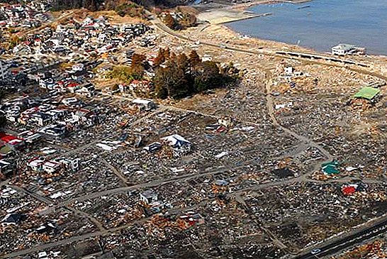 Tremblement de terre et tsunami au Japon de 2011: faits et informations
