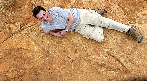 كان ديناصور الجوراسي "ميجا كارنيفور" 4 أضعاف حجم الأسد