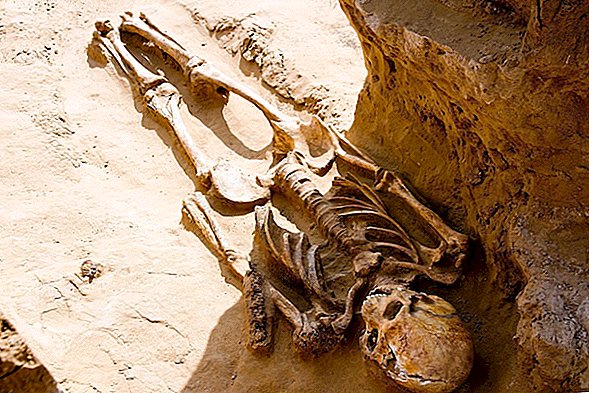 Голяма могила в Русия разкрива скелети на 2500 години от елитни номадски племена ... И конска глава