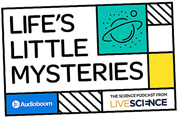 ¡El podcast 'Life's Little Mysteries' ya está aquí! Responderemos preguntas científicas intrigantes (y extrañas)
