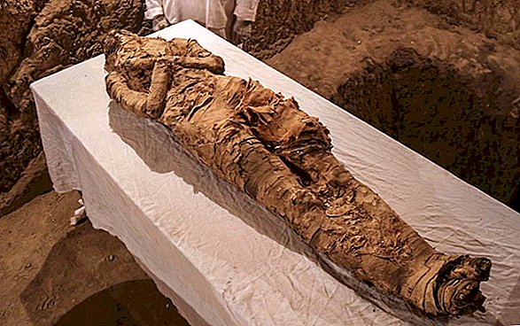 Momia envuelta en lino encontrada dentro de una tumba de 3.500 años en Luxor
