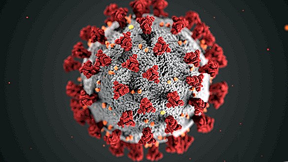 פודקאסט Live Science "תעלומות קטנות של החיים" דו"ח מיוחד: וירוס Coronavirus (5 במרץ)