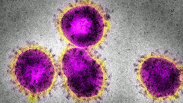 تقرير خاص بعنوان "ألغاز الحياة الصغيرة": "Coronavirus"