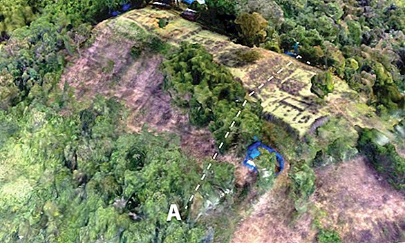 इंडोनेशिया में पाया जाने वाला लॉन्ग-हिडन 'पिरामिड' संभवतः एक प्राचीन मंदिर था