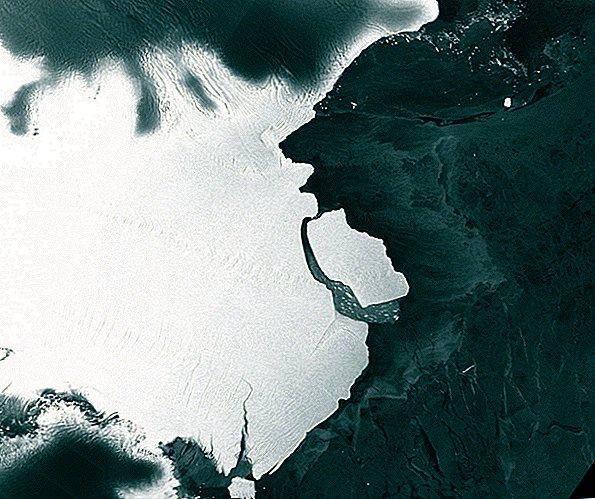 Iceberg 'diente suelto' Terneros de la Antártida Oriental en lugar sorprendente