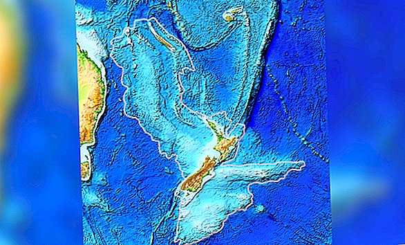 Der verlorene Kontinent Seeland verbirgt Hinweise auf die Geburt des Feuerrings
