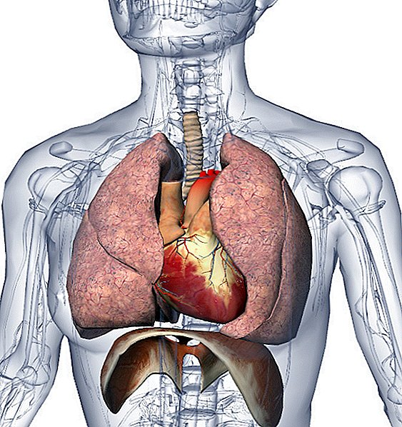 Lungentransplantationen umstritten für Mukoviszidose-Patienten