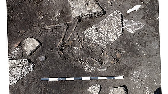 Slachtoffers van de slachting vertrokken om te rotten op het eiland, 1500 jaar geleden