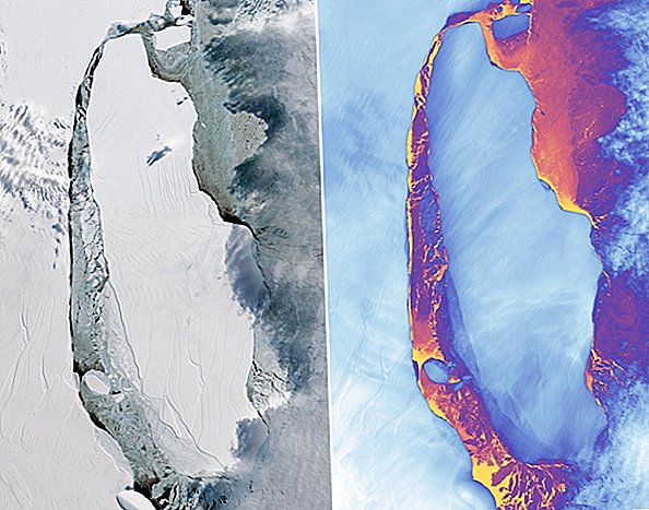 Massiver gekälbter Eisberg kommt in Sicht, wenn die antarktische Sonne aufgeht
