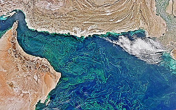 Masívne „mŕtve pásmo“ v Arabskom mori je najväčšie na svete