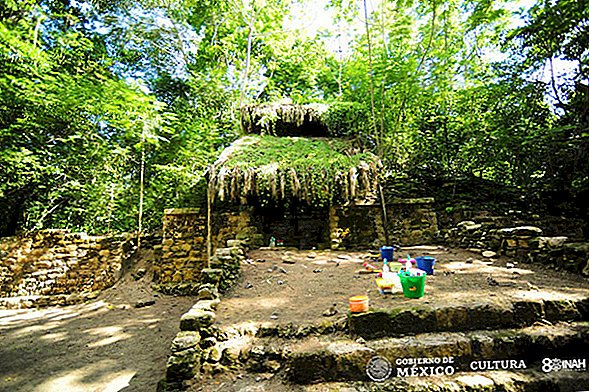 멕시코 정글에서 발견 된 Maya Palace