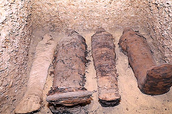El laberinto de tumbas en Egipto alberga a muchas momias que datan de 2.300 años