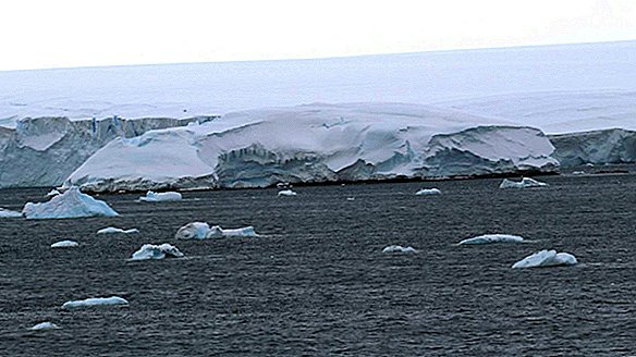 Kūstošais ledus Antarktīdā atklāj jaunu, neatzīmētu salu