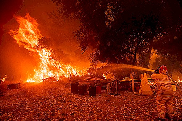멘 도시 노 와일드 파이어 (Mendocino Wildfire), 캘리포니아 최대 규모로 성장