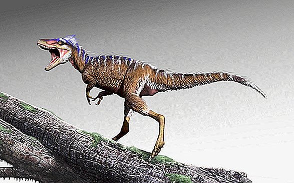Der mächtige T. Rex begann als süßer Dino in Hirschgröße
