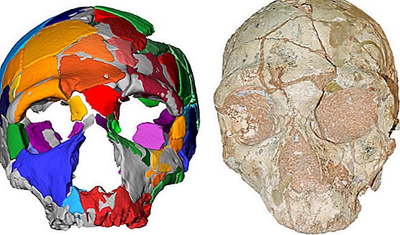 Moderne Menschen scheiterten bei dem frühen Versuch, aus Afrika auszuwandern, wie Old Skull zeigt
