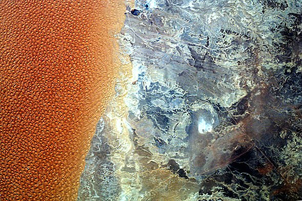 Schimmeliges Brot? Nein, es ist ein Foto der Sahara-Wüste aus dem Weltraum