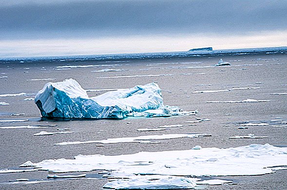 La plupart des «bébés glaces de mer» de l'Arctique fondent avant de quitter la pépinière. Et c'est un problème.