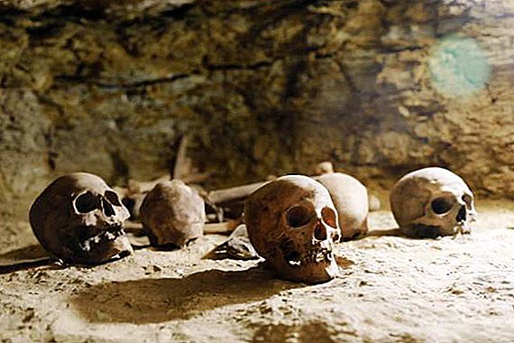 Мумии древних египетских священников найдены погребенными с тысячами загробных слуг