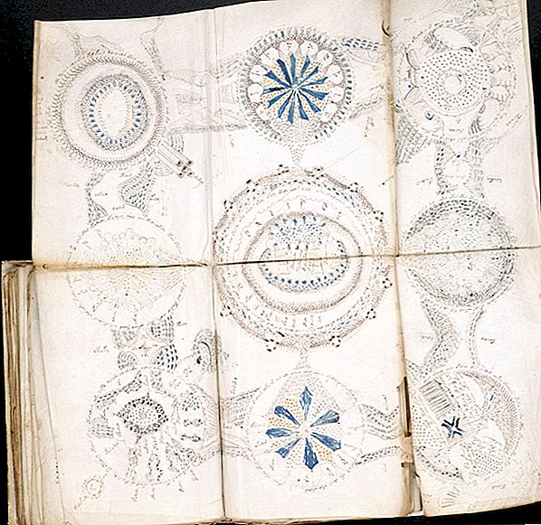 Skrivnostni rokopis Voynich ni bil prevara, študija predlaga