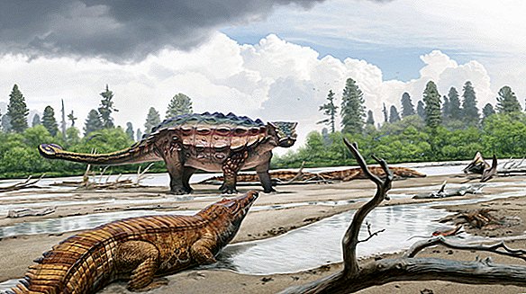 תעלומת דינוזאור דוקרני-גולגולת יוטה נפתרה