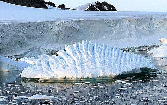 ما يقرب من 25 ٪ من الجليد في غرب القطب الجنوبي في خطر الانهيار