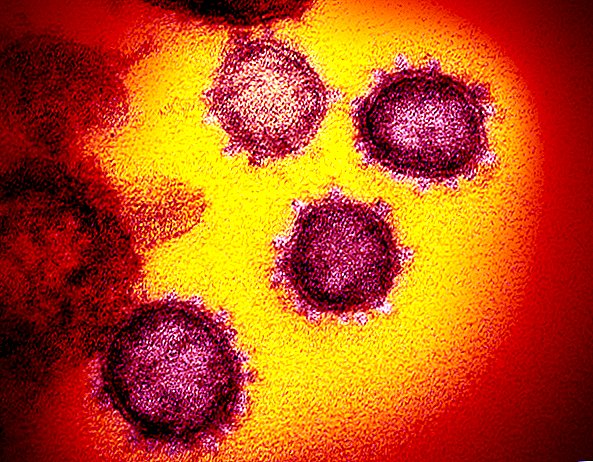 قد ينتشر فيروس تاجي جديد من خلال أنبوب