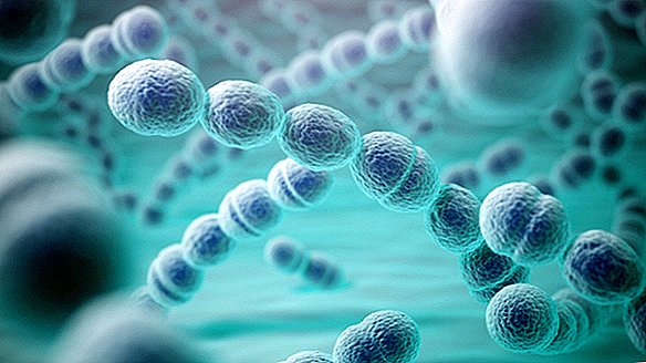 Nuevas drogas podrían obstaculizar las superbacterias al congelar la evolución