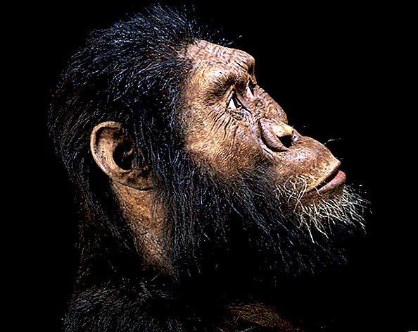 Fosil Baru Mengungkap Wajah Relatif Paling Lama Dikenal sebagai 'Lucy'