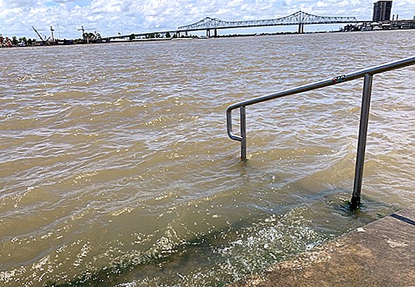 New Orleans tropik fırtına Barry döner gibi yoğun sel için parantez