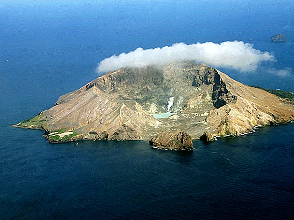 A Nova Zelândia encomendou mais de 1.200 pés quadrados de pele para vítimas do vulcão