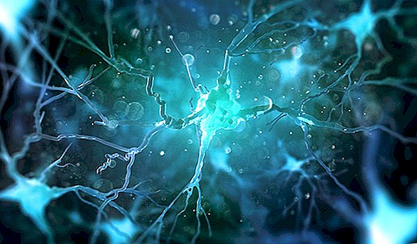 Un nuovo disturbo cerebrale riconosciuto può simulare l'Alzheimer. Ecco come è diverso.