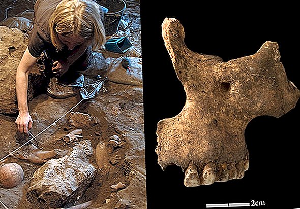 Het oudste menselijke DNA uit Afrika onthult aanwijzingen over een mysterieuze oude cultuur